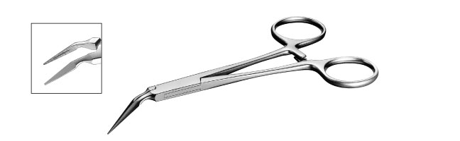 Stieglitz Root Forceps