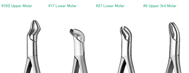 Extraction Forceps