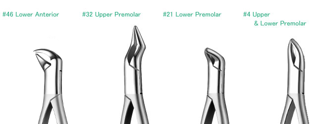 Extraction Forceps