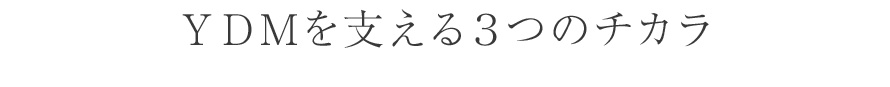 ＹＤＭを支える３つのチカラ